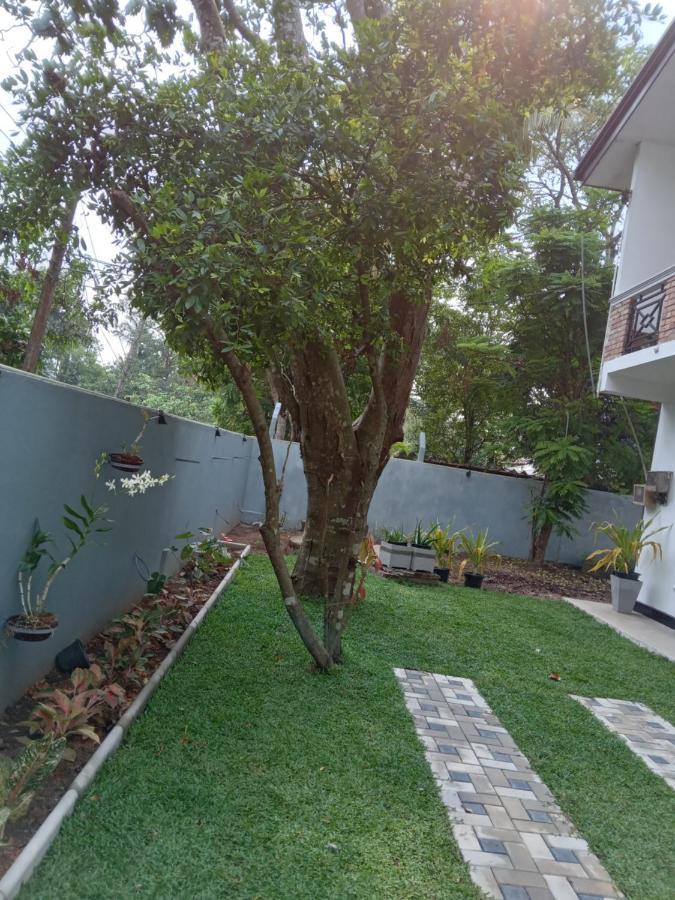 Sky Bloom Bed & Breakfast Homagama Ngoại thất bức ảnh
