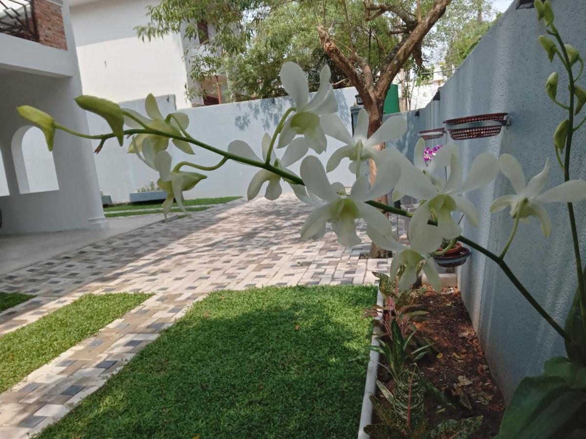 Sky Bloom Bed & Breakfast Homagama Ngoại thất bức ảnh