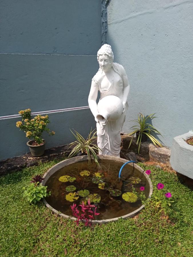 Sky Bloom Bed & Breakfast Homagama Ngoại thất bức ảnh