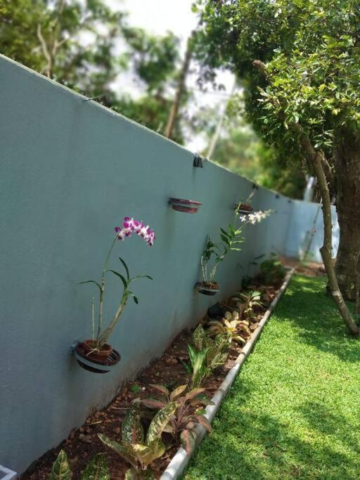 Sky Bloom Bed & Breakfast Homagama Ngoại thất bức ảnh
